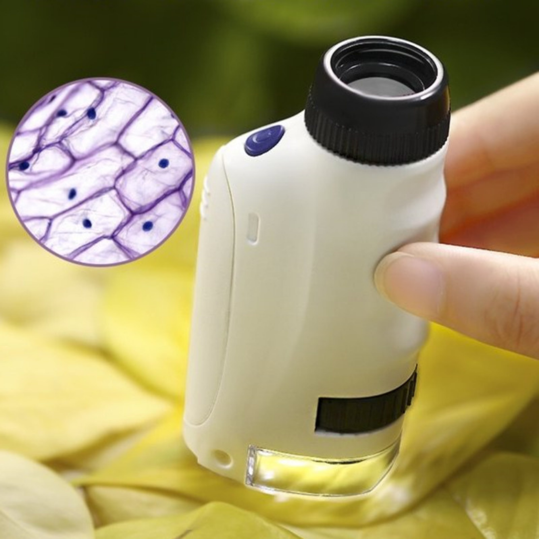 Zoomino™ „Großes Staunen für kleine Entdecker“